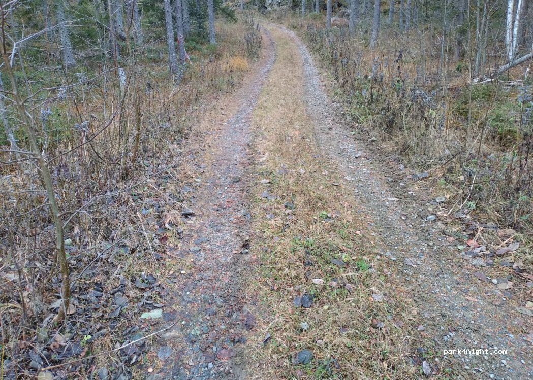 (816 90) Ockelbo - Unnamed road — foto 2