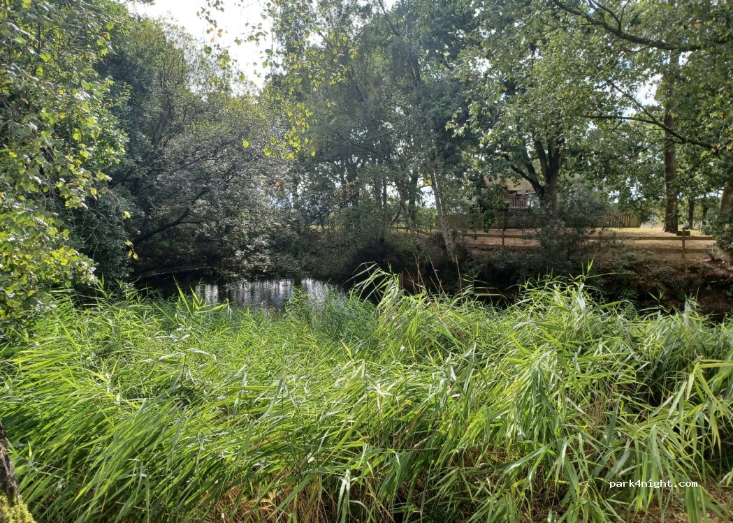 Woodhall Spa Camping — foto 3