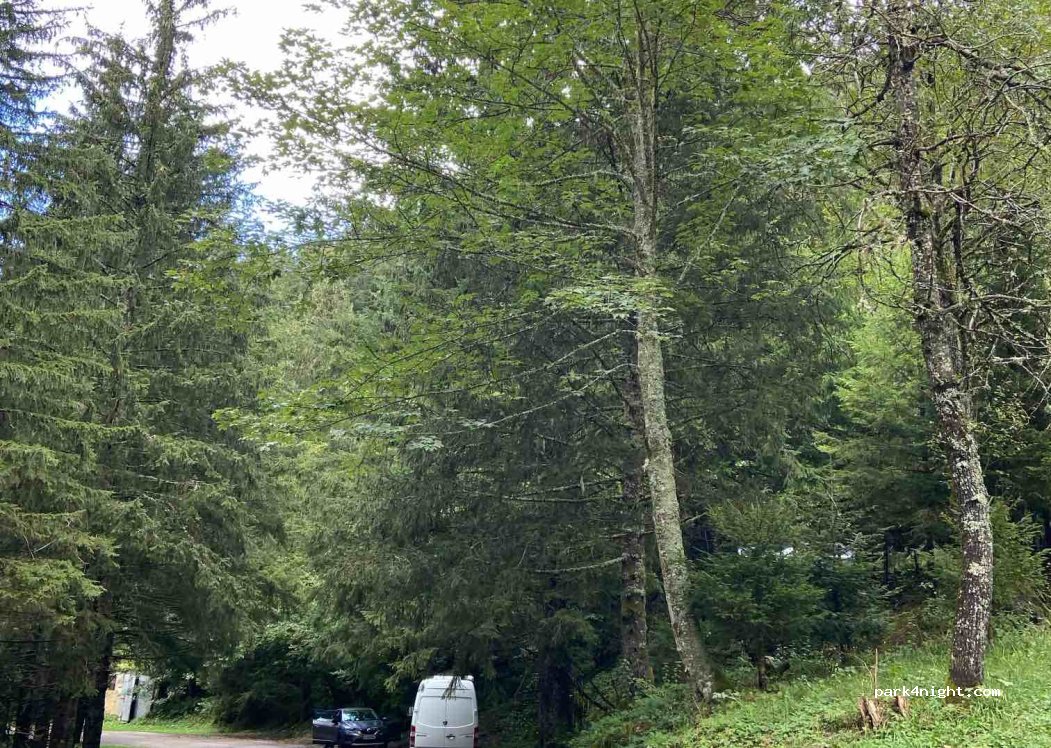 (38190) Laval-en-Belledonne - 4 La Tavernette — foto