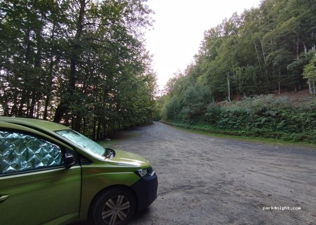 (41027) Pievepelago - 5 SP324 — foto