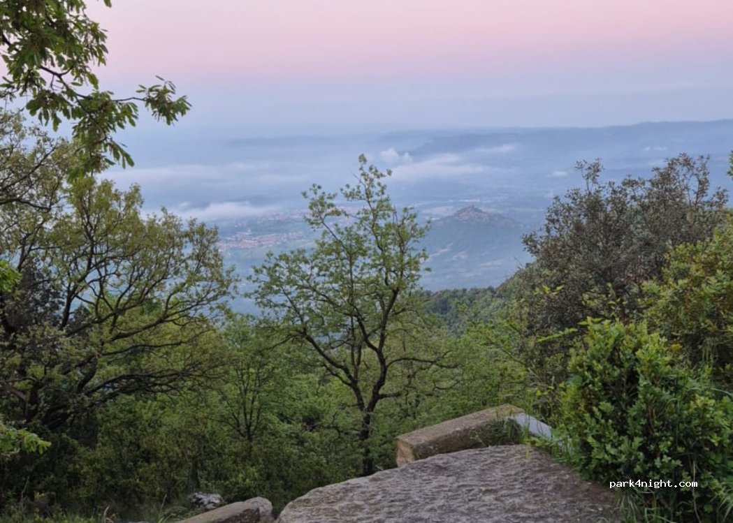(08572) Sant Pere de Torelló - — foto 3