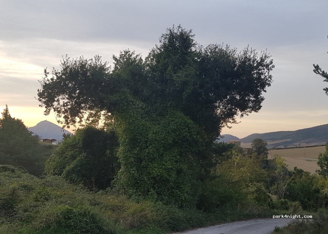 (31473) Izco - Unnamed Road — foto