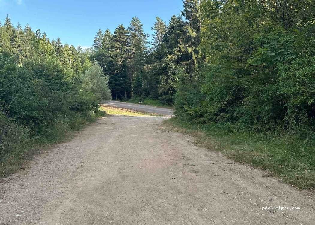 (39130) Clairvaux-les-Lacs - Route de Saint-Claude — foto