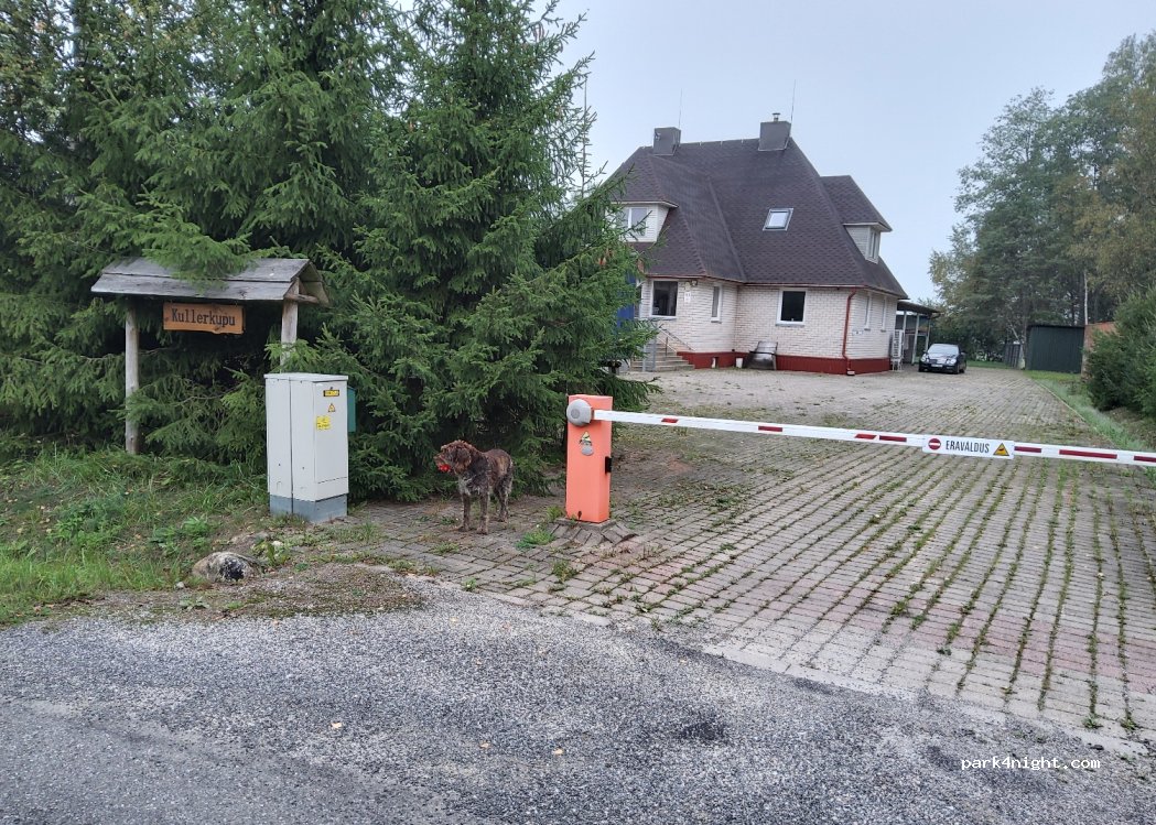 (61704) Lemmatsi - — foto