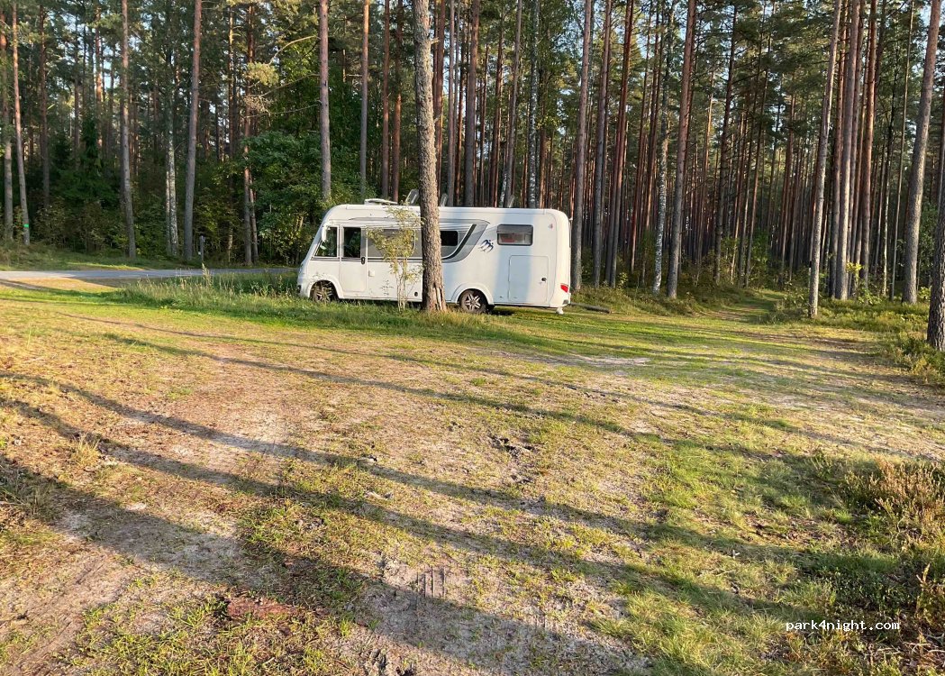 (86504) Leina - Metsakula-Leina — foto