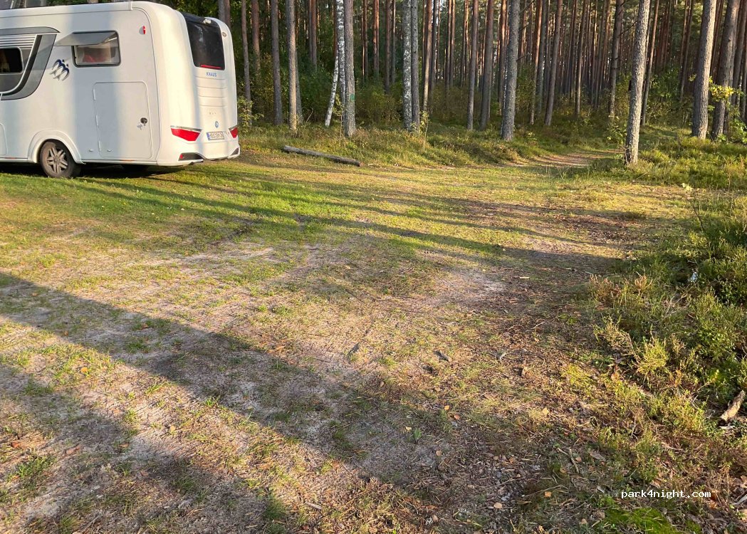 (86504) Leina - Metsakula-Leina — foto 2
