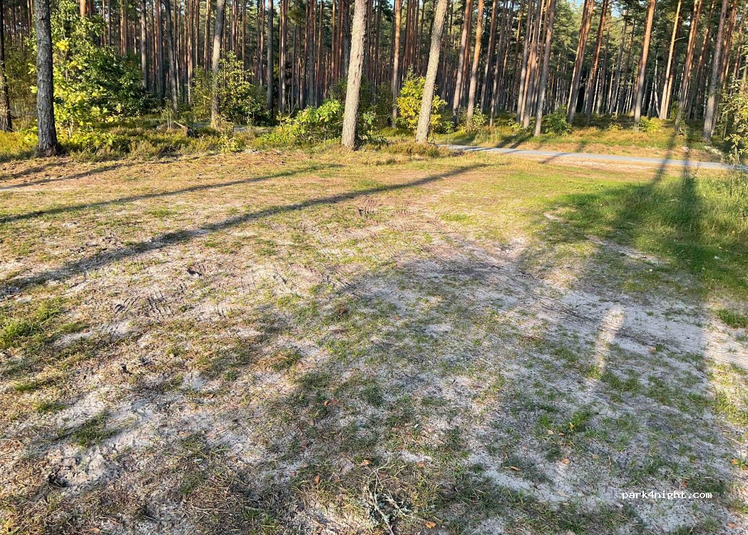 (86504) Leina - Metsakula-Leina — foto 3