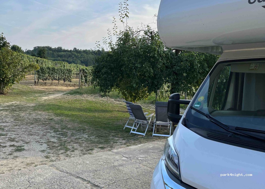 ERALDO REVELLI Azienda Agricola — foto 4