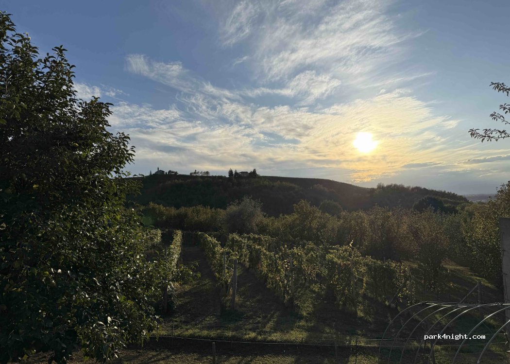 ERALDO REVELLI Azienda Agricola — foto 5