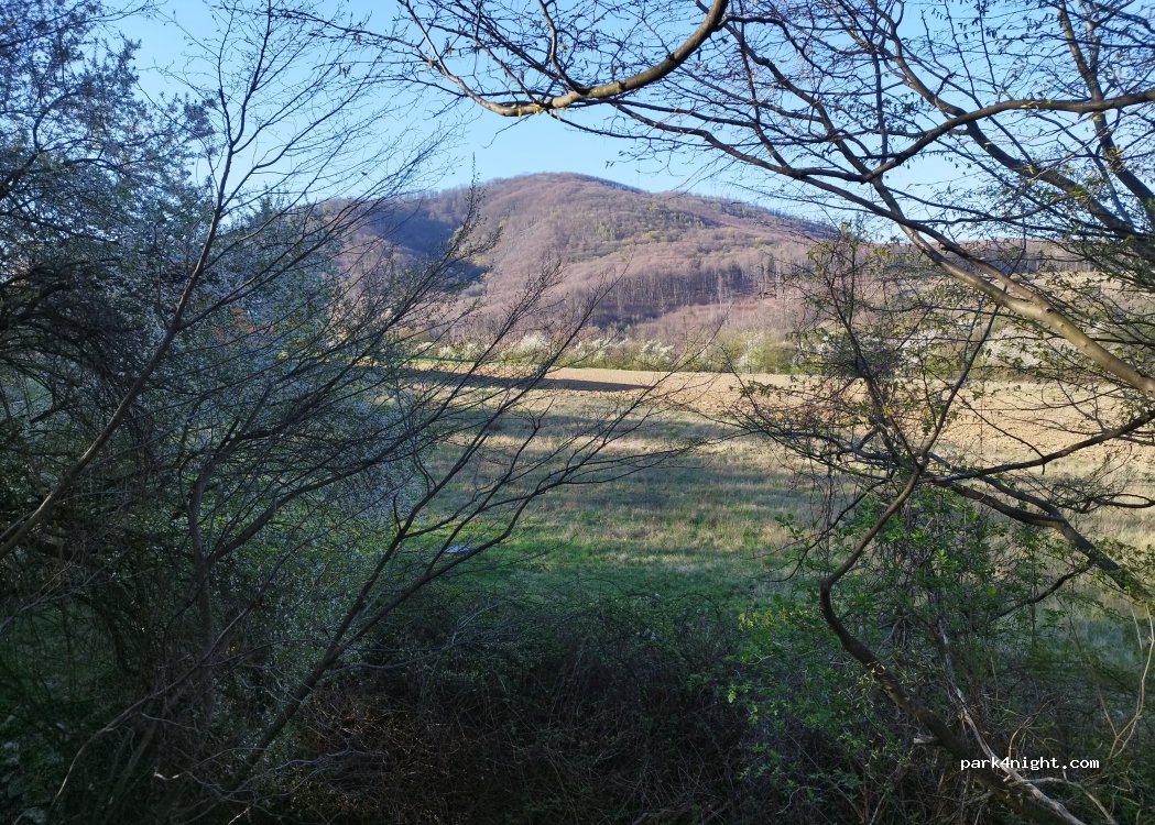 (906 37) Sološnica - — foto 5