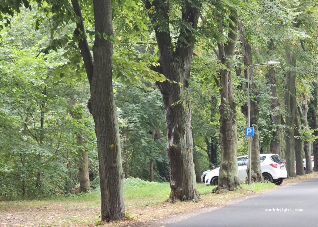 (14473) Potsdam - 25B Hermannswerder — foto