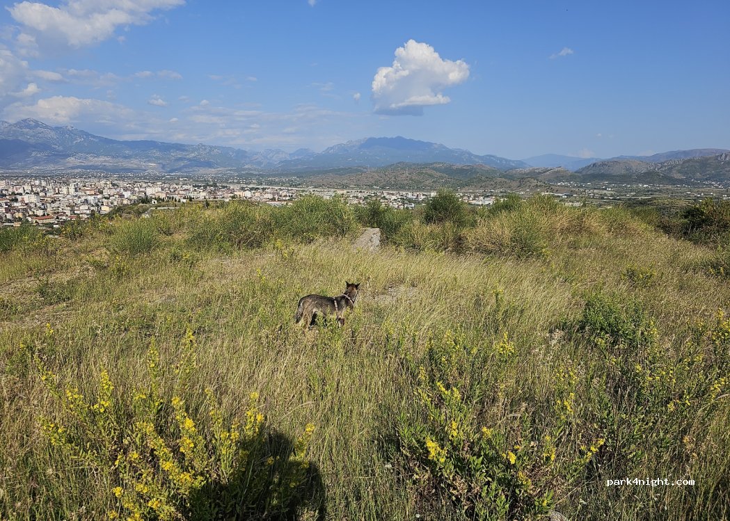 () Shkodër - — foto
