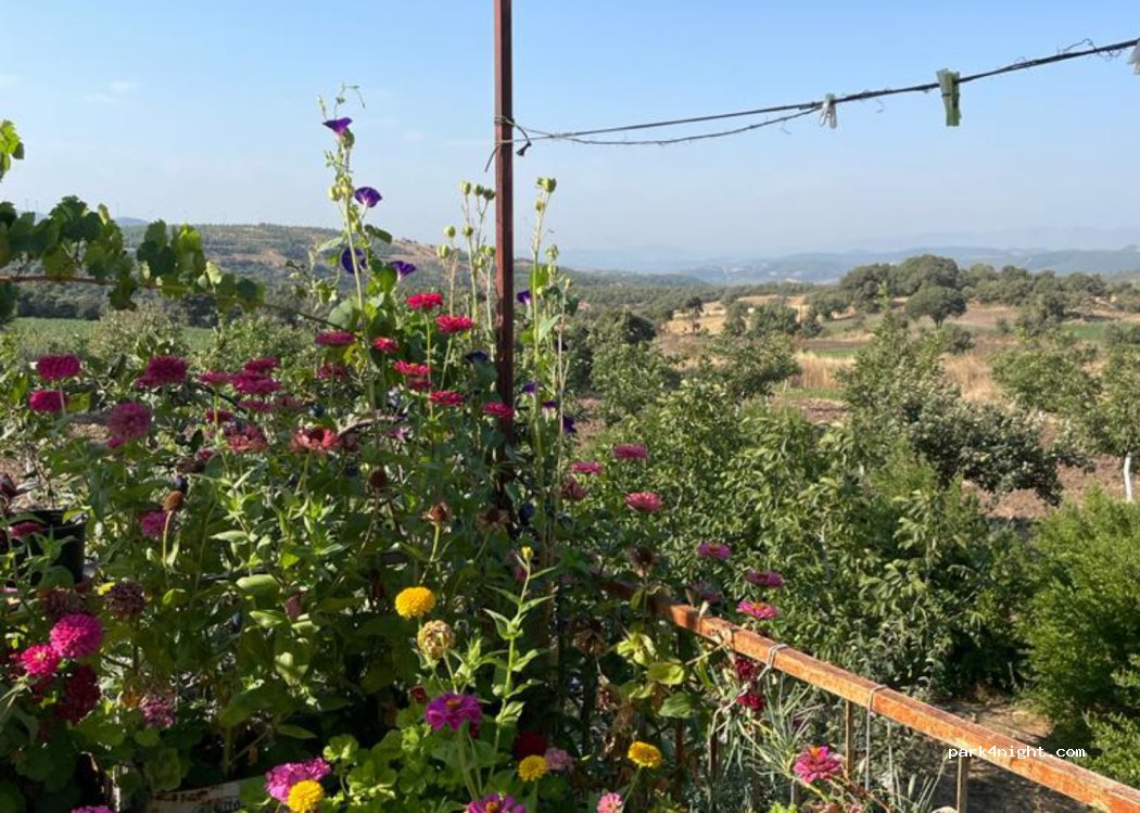 (45720) Kırkağaç/Manisa - — foto