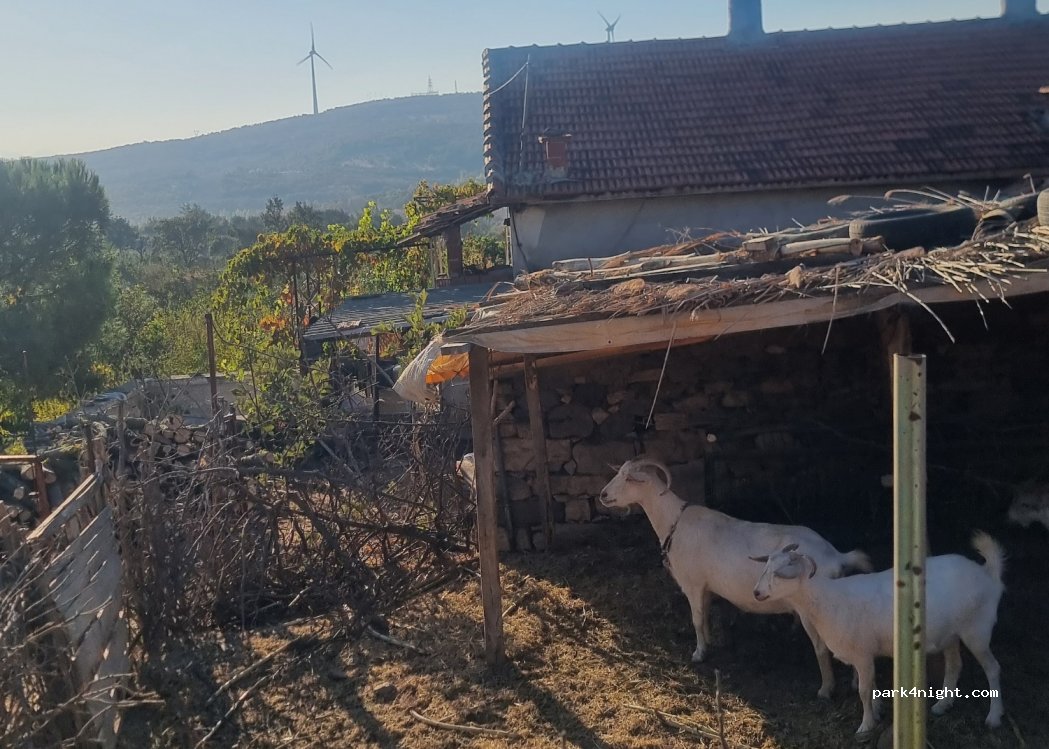 (45720) Kırkağaç/Manisa - — foto 4