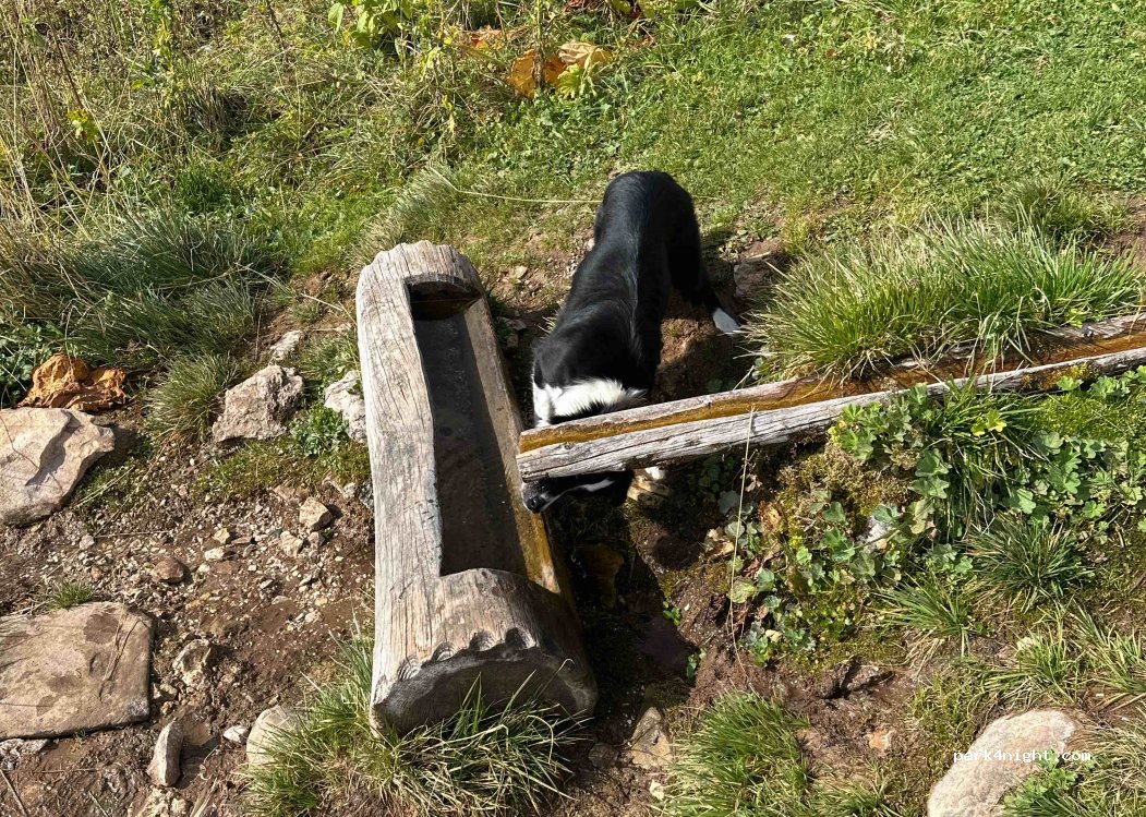 (32043) Cortina d'Ampezzo - Località 5 Torri — foto 2