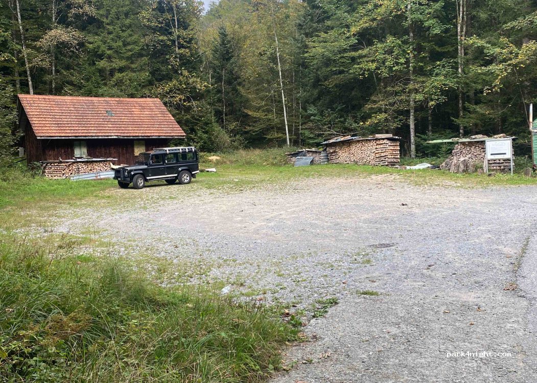 (8739) Gommiswald - 1 Steinenwald — foto
