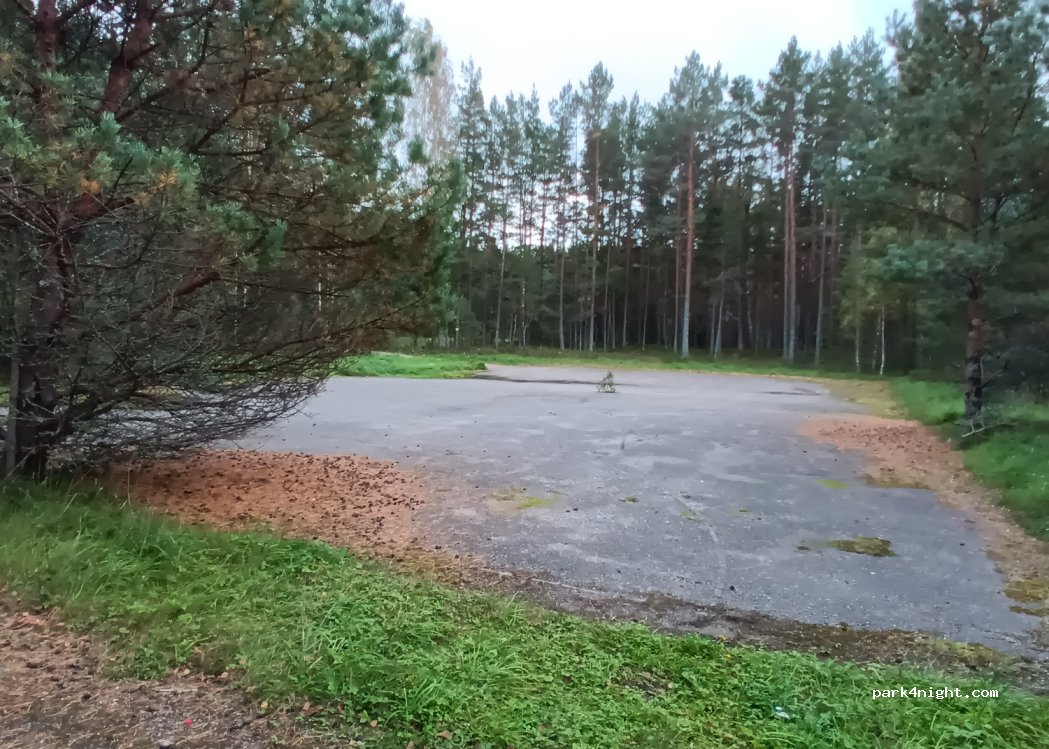 (3601) Irbene - Unnamed road — foto