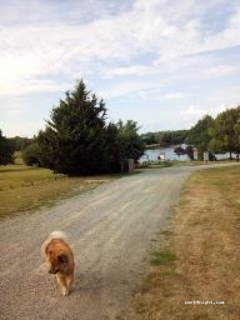 (44650) Legé - D753A — foto 2