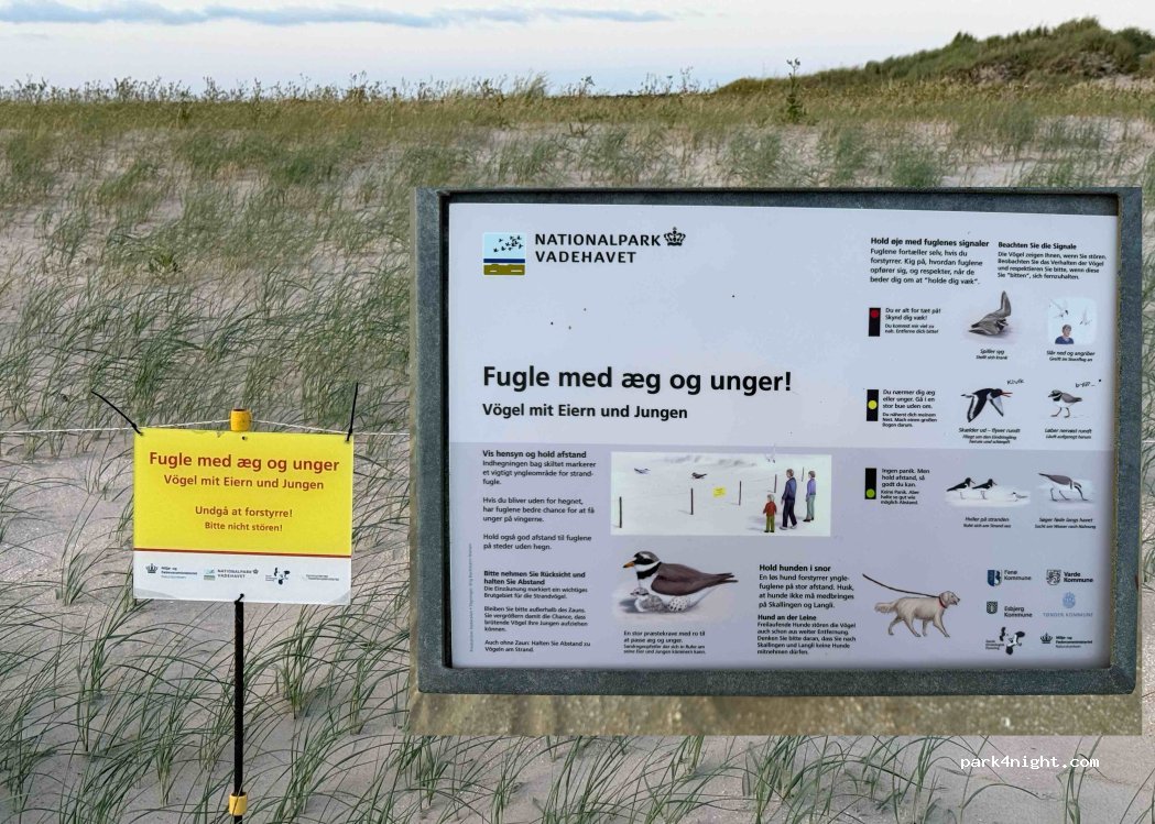 (6792) Rømø - Unnamed Road — foto 5