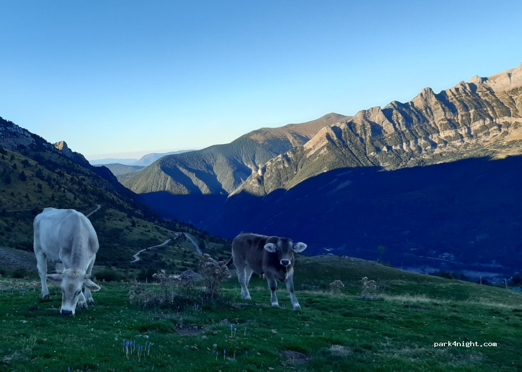 (22661) Panticosa - — foto