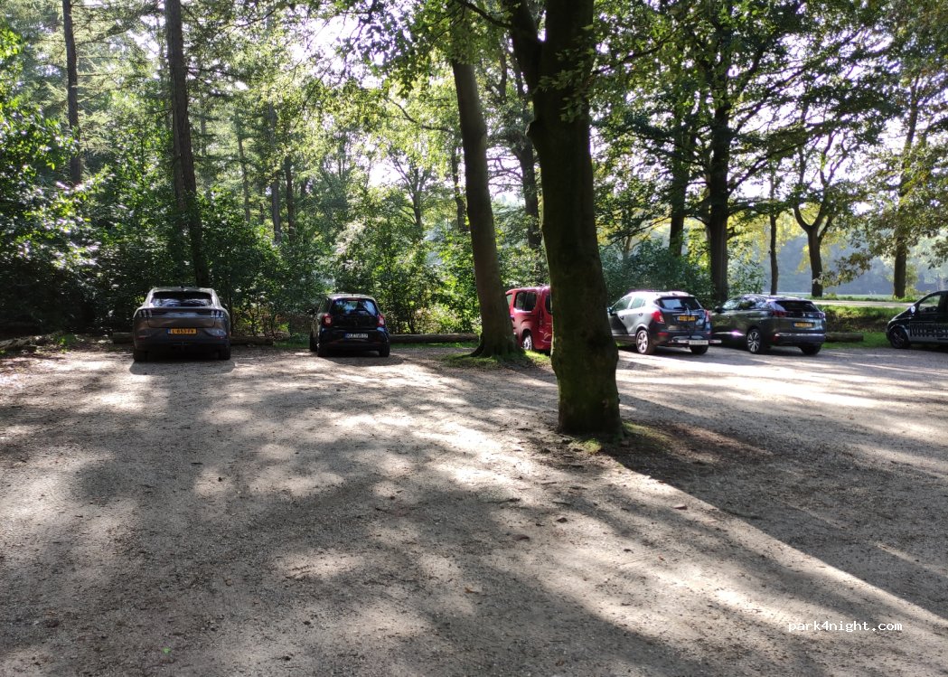 () Zeddam - Berkenlaan — foto