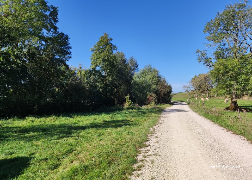 (55250) Nubécourt - Unnamed Road — foto 2