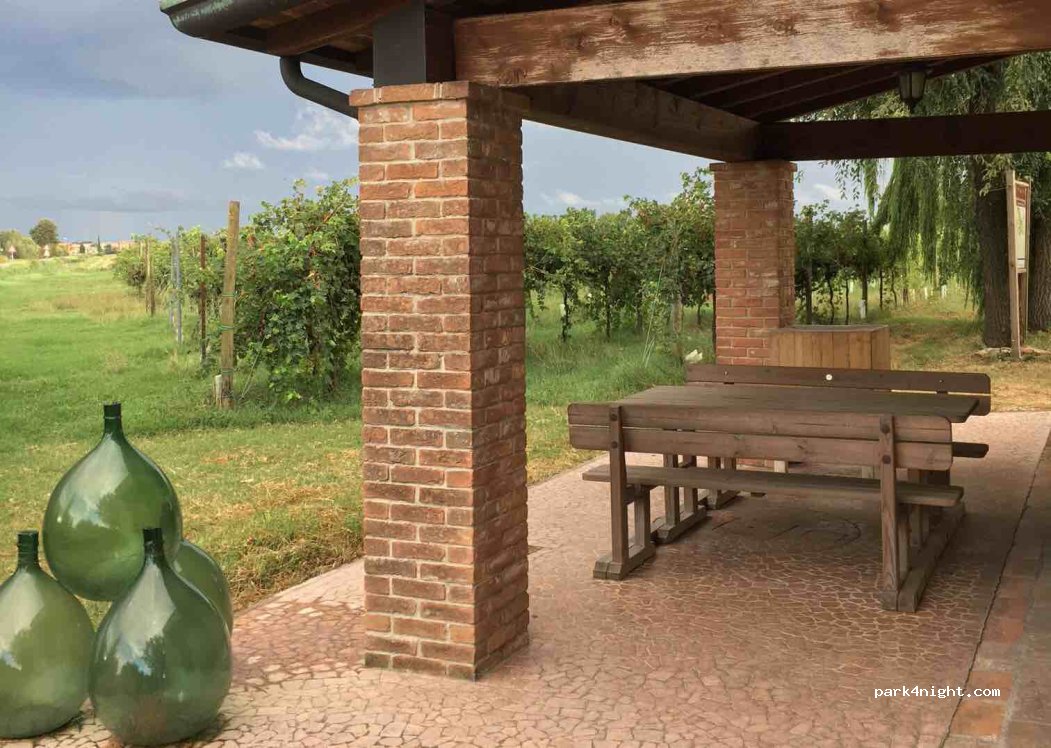 Azienda Agricola Giovanni Pacchioni — foto 2