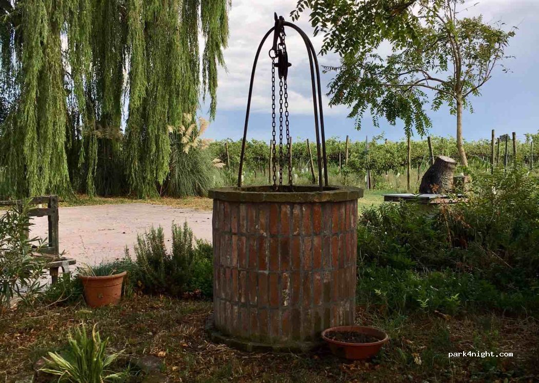 Azienda Agricola Giovanni Pacchioni — foto 3