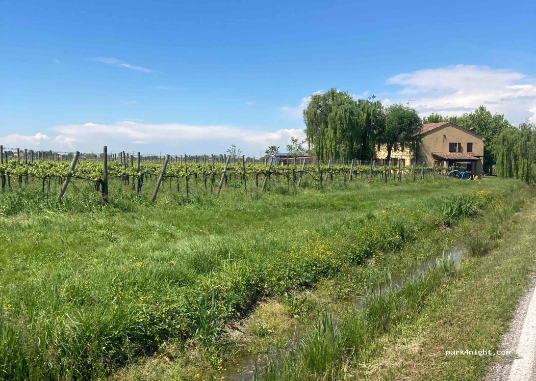 Azienda Agricola Giovanni Pacchioni — foto 4