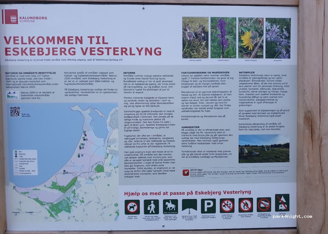 (4591) Føllenslev - 1B Lyngvej — foto 3