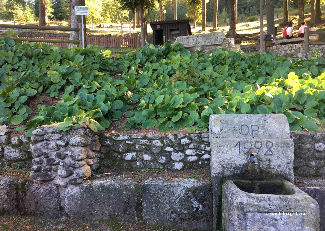 (4870) Ribeira de Pena - 2 N206 — foto 2