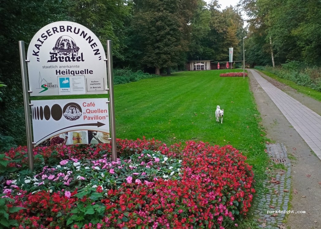 (33034) Brakel - — foto 2