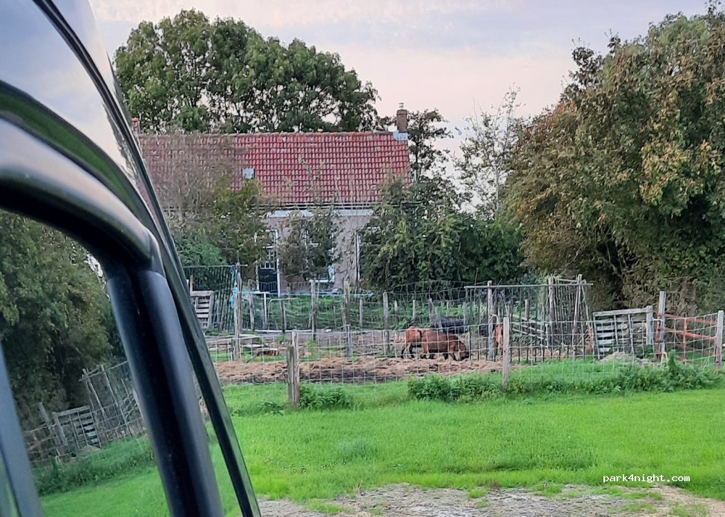 Minicamping Klaverblad — foto