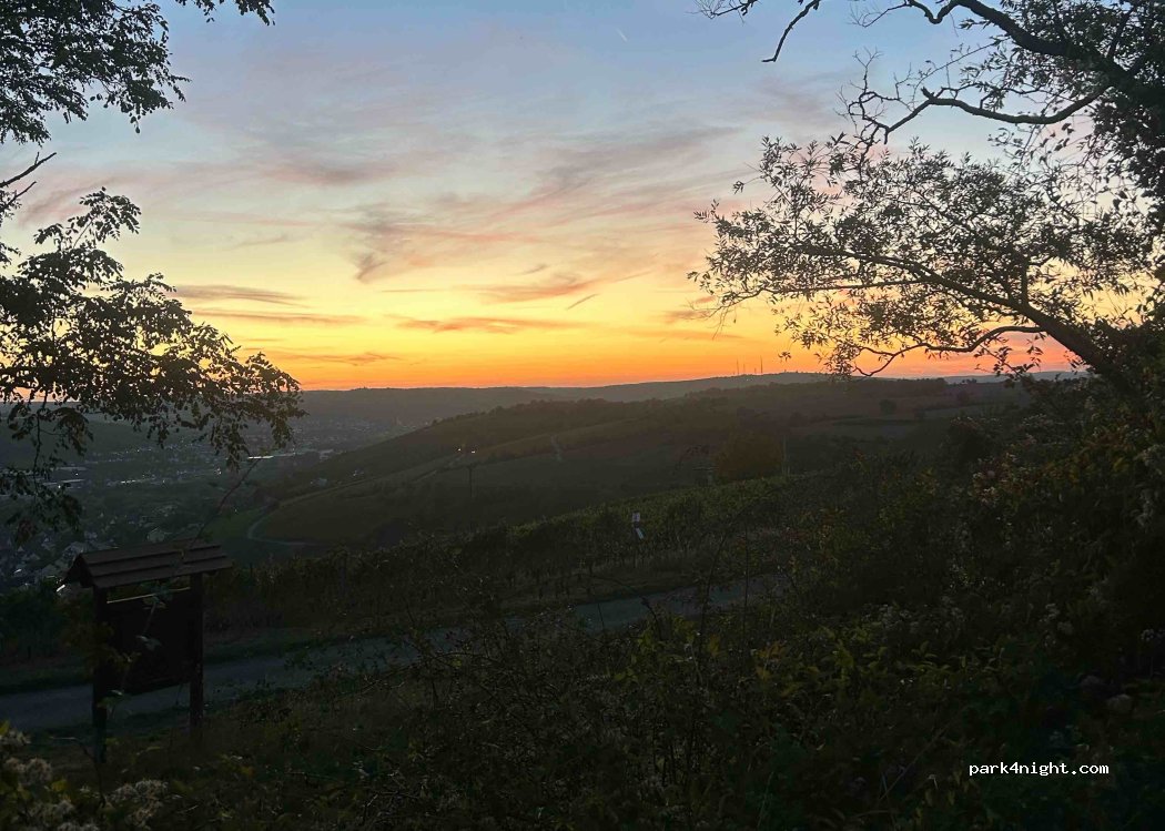 (97236) Randersacker - — foto