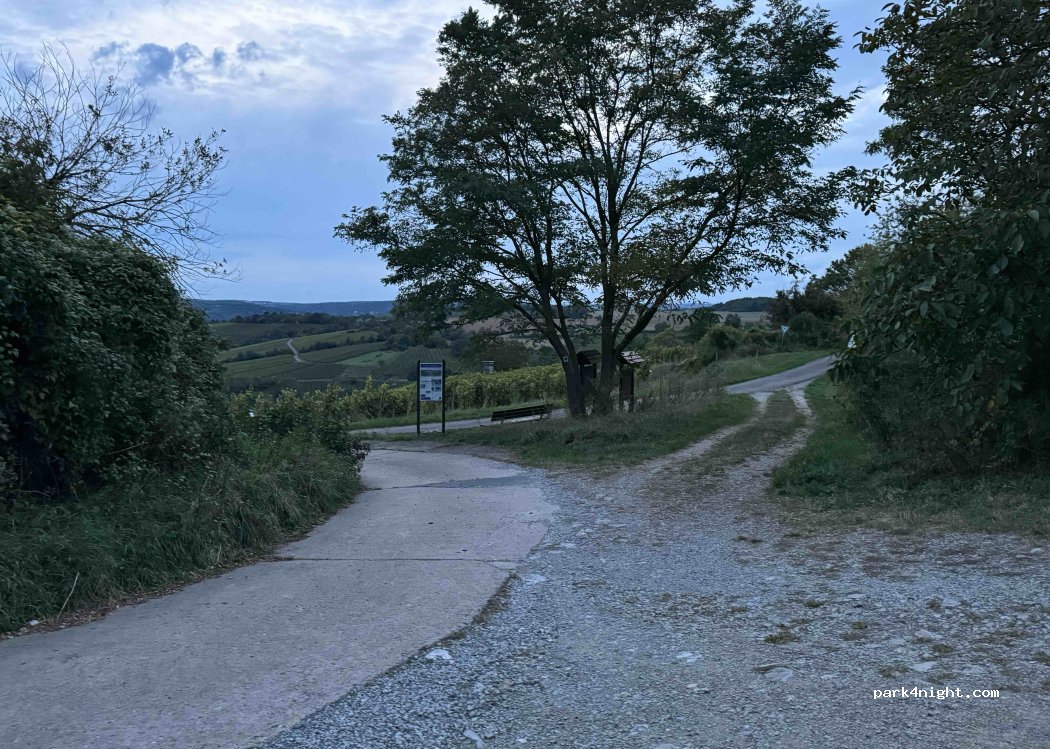 (97236) Randersacker - — foto 4