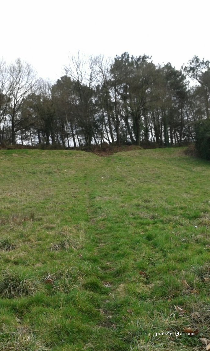 (56250) La Vraie-Croix - Le Champ aux Loups — foto 2
