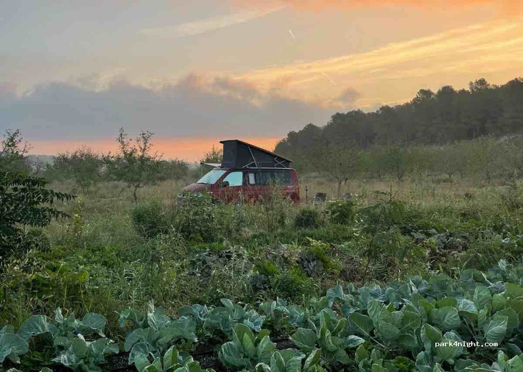 The Green Rebel Farm — foto