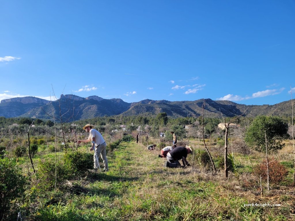 The Green Rebel Farm — foto 2