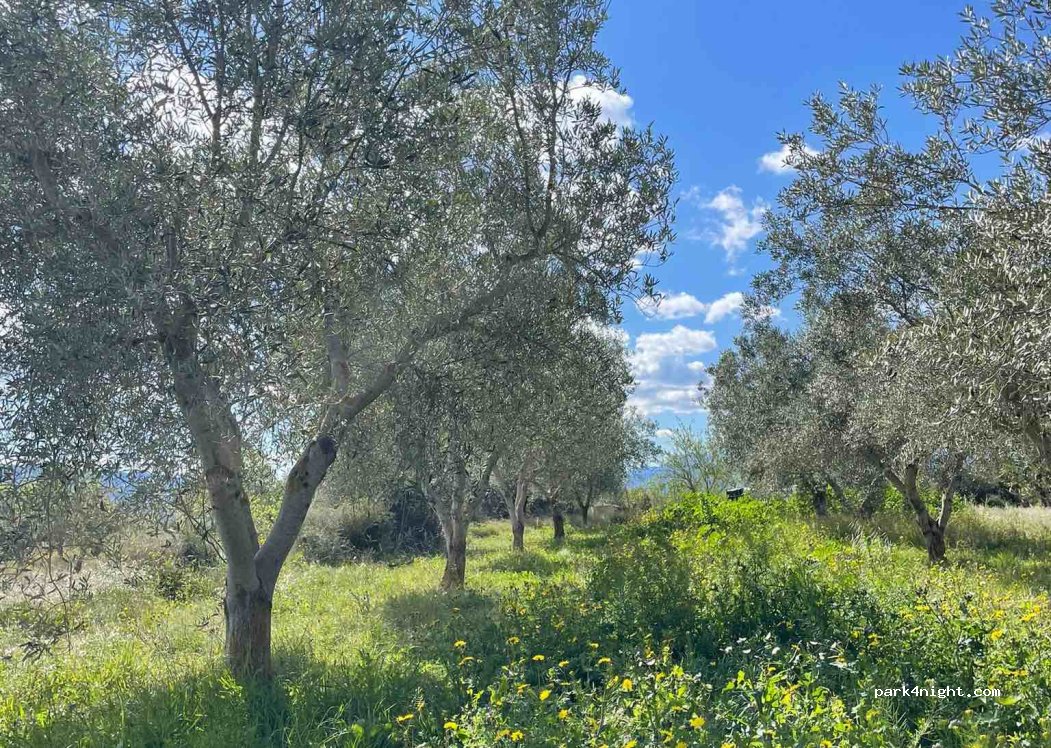 The Green Rebel Farm — foto 5
