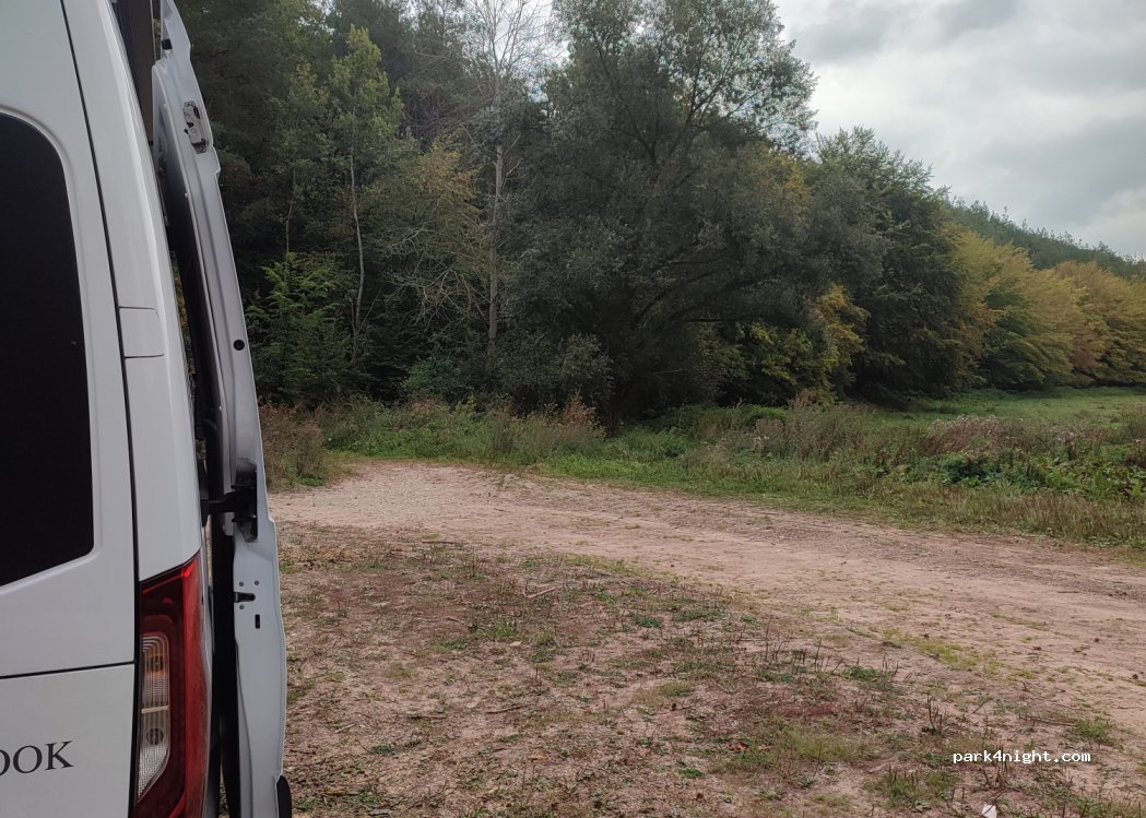 (37318) Birkenfelde - — foto