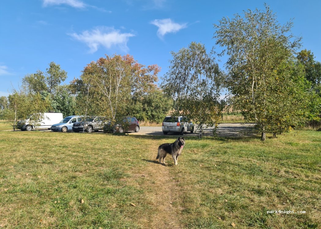 (273 62) Doksy u Kladna - Na Hrázi — foto