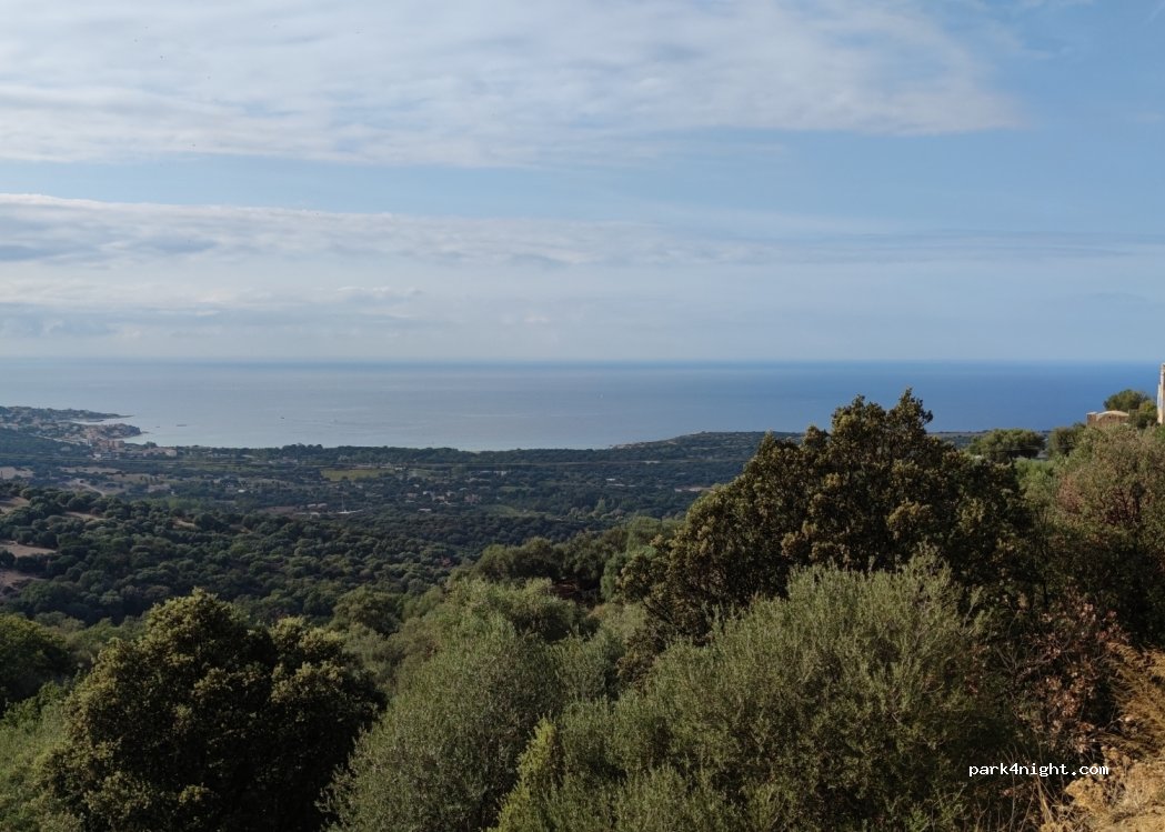 (20220) Pigna - D151 — foto