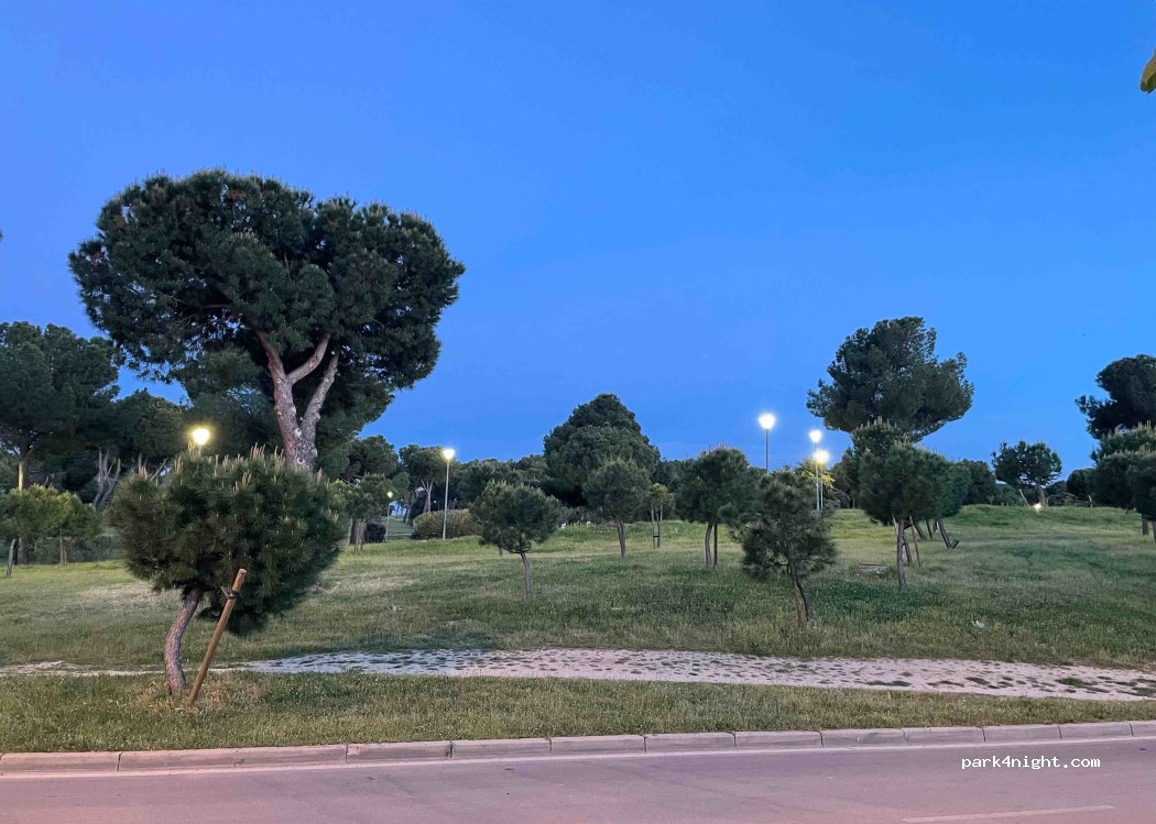 (28221) Majadahonda - 11C Poligono Este — foto 3