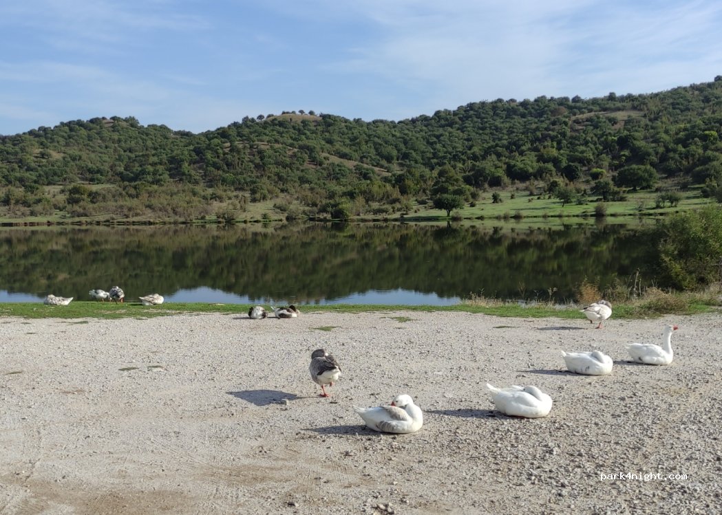 (420 32) Ag. Vissarion - — foto 2