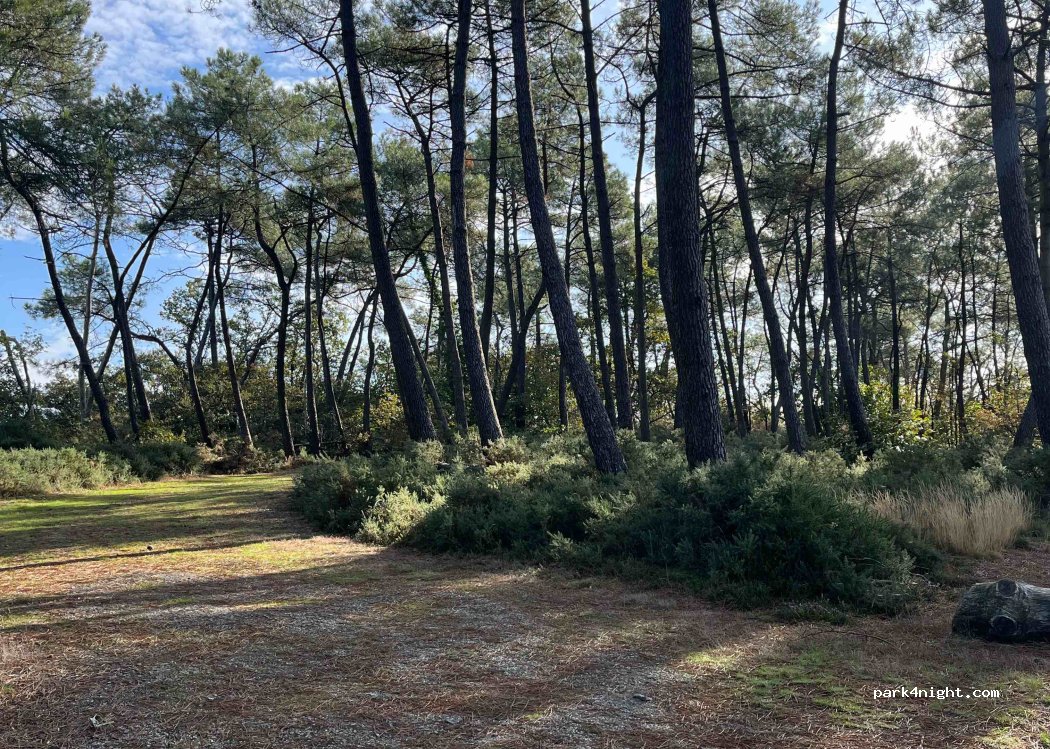 (44170) Marsac-sur-Don - 1 Étang de la Roche — foto 2