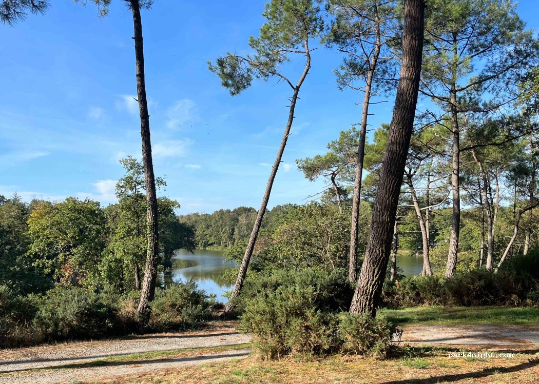 (44170) Marsac-sur-Don - 1 Étang de la Roche — foto 3