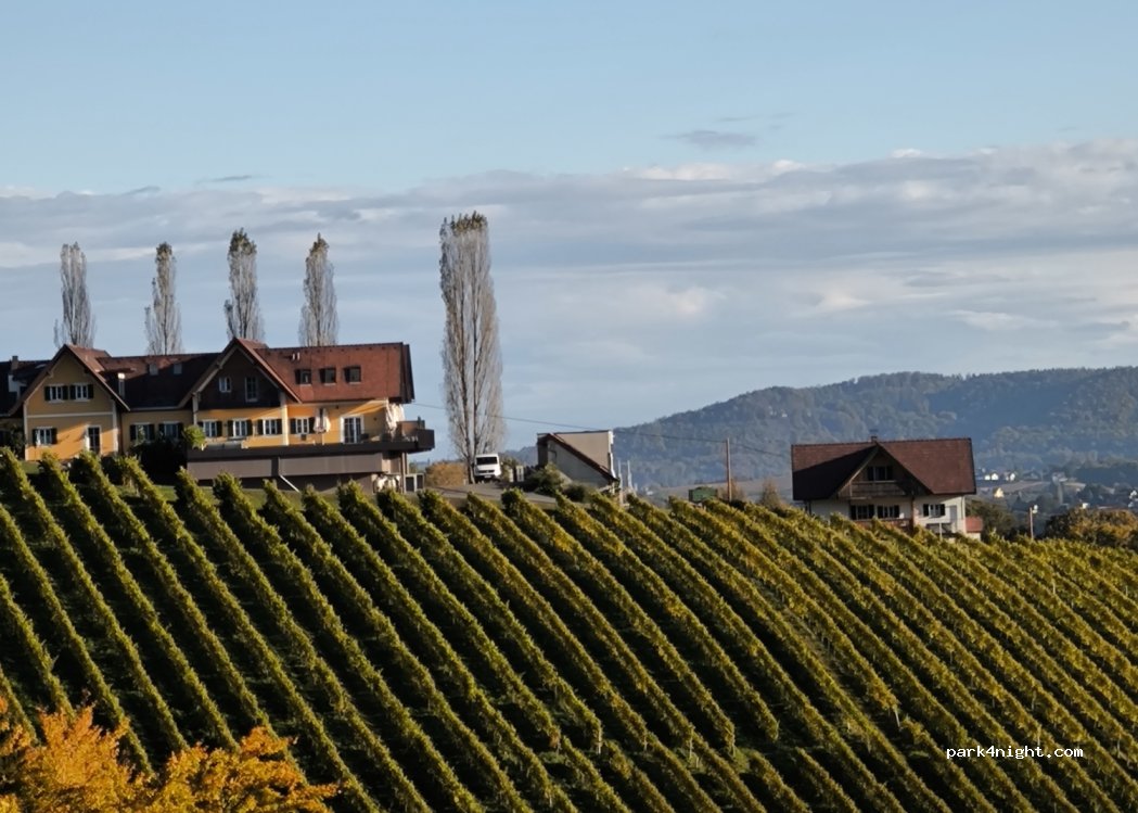 Weingut Buschenschank Pichler-Schober — foto 3