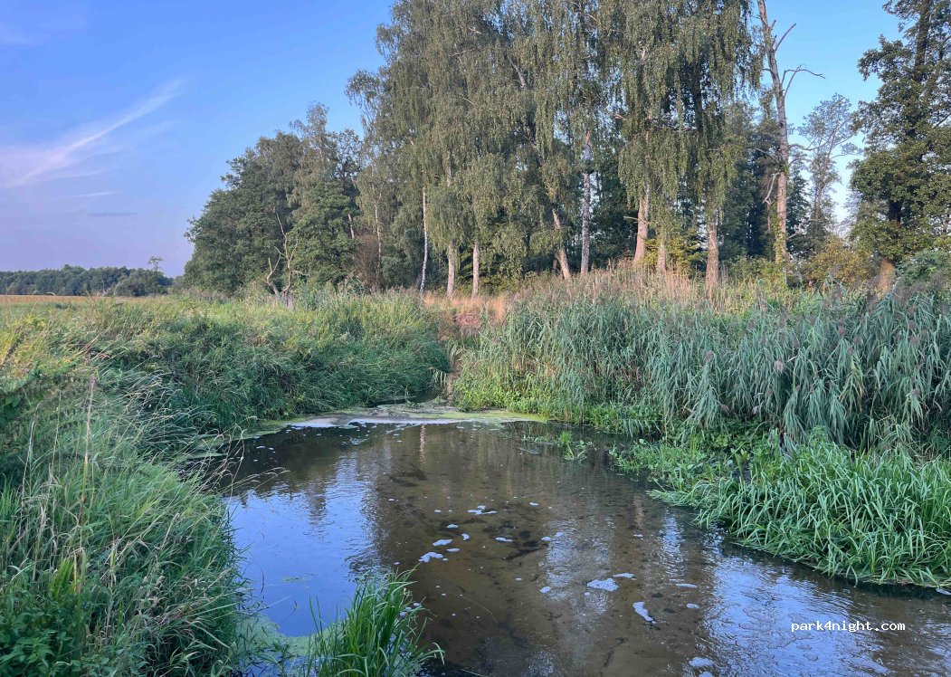 (99-120) Janków - — foto 2