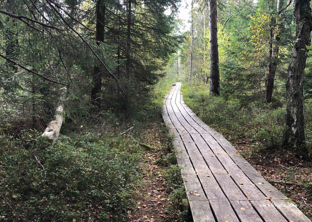 (88271) Wilhelmsdorf - 6 Birkenweg — foto 2