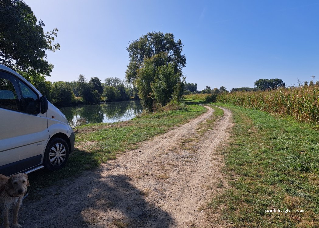 (17610) Dompierre-sur-Charente - Unnamed Road — foto